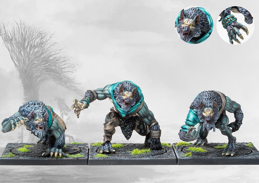 Conquest Nords Werewargs plastic brute miniatures assembled on tactical movement stands. Christchurch, NZ.