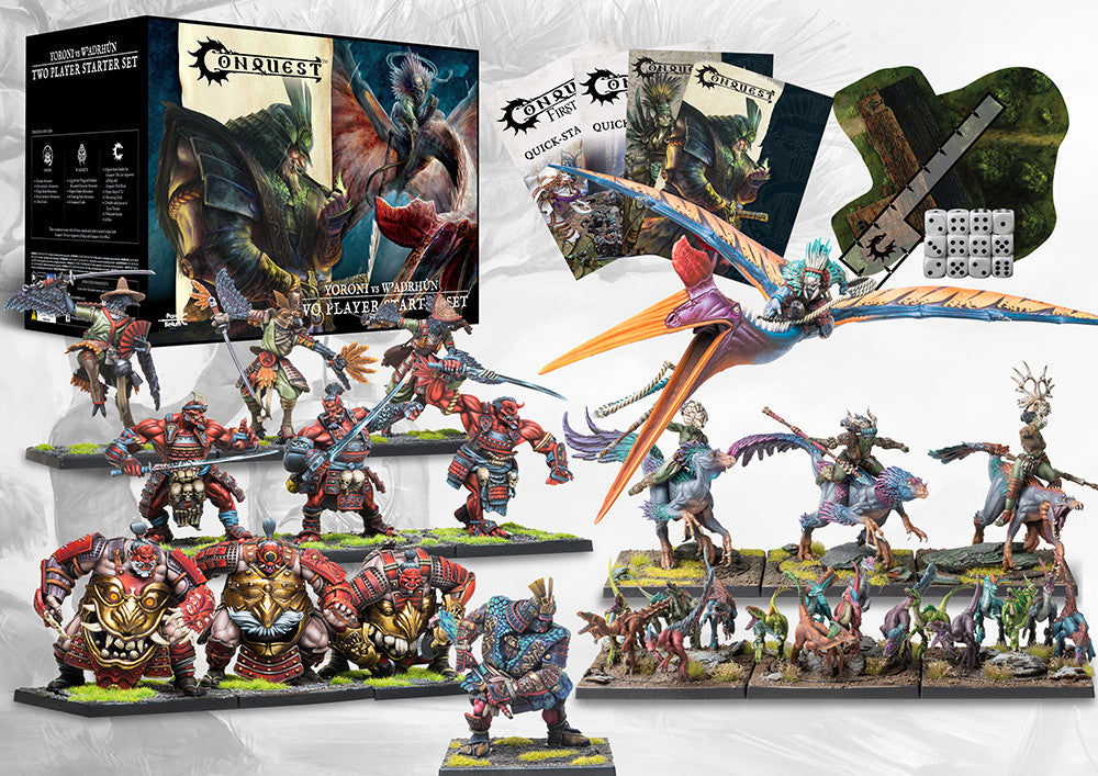 Fully painted Yoroni and W'adrhun miniatures, Quatl monster, gaming cards, dice, and maps included in the set.