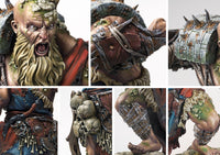 Conquest: Nords: Mountain Jotnar
