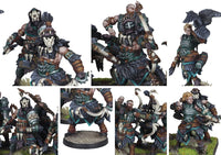 Conquest Nords: Bow Chosen