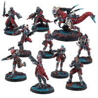 A display of all the painted miniatures from the Infinity Next Wave Action Pack, including several infantry models and a large red bio-mechanical creature.