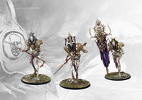 Close-up view of painted Conquest Spires Avatara miniatures, highlighting the detailed armor, purple sash, and banner.