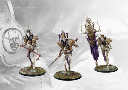 Close-up view of painted Conquest Spires Avatara miniatures, highlighting the detailed armor, purple sash, and banner.