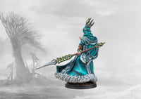 Para Bellum Conquest Nords Volva 38mm scale plastic character miniature back.
