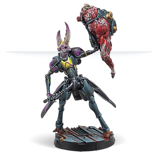 A painted Infinity miniature of Freelance Operator Samsa, an alien mercenary, viewed from the front holding a slain creature.