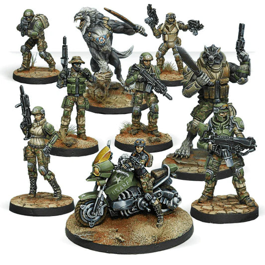 A group shot of the 11 painted metal and plastic miniatures from the Infinity USAriadna Action Pack.